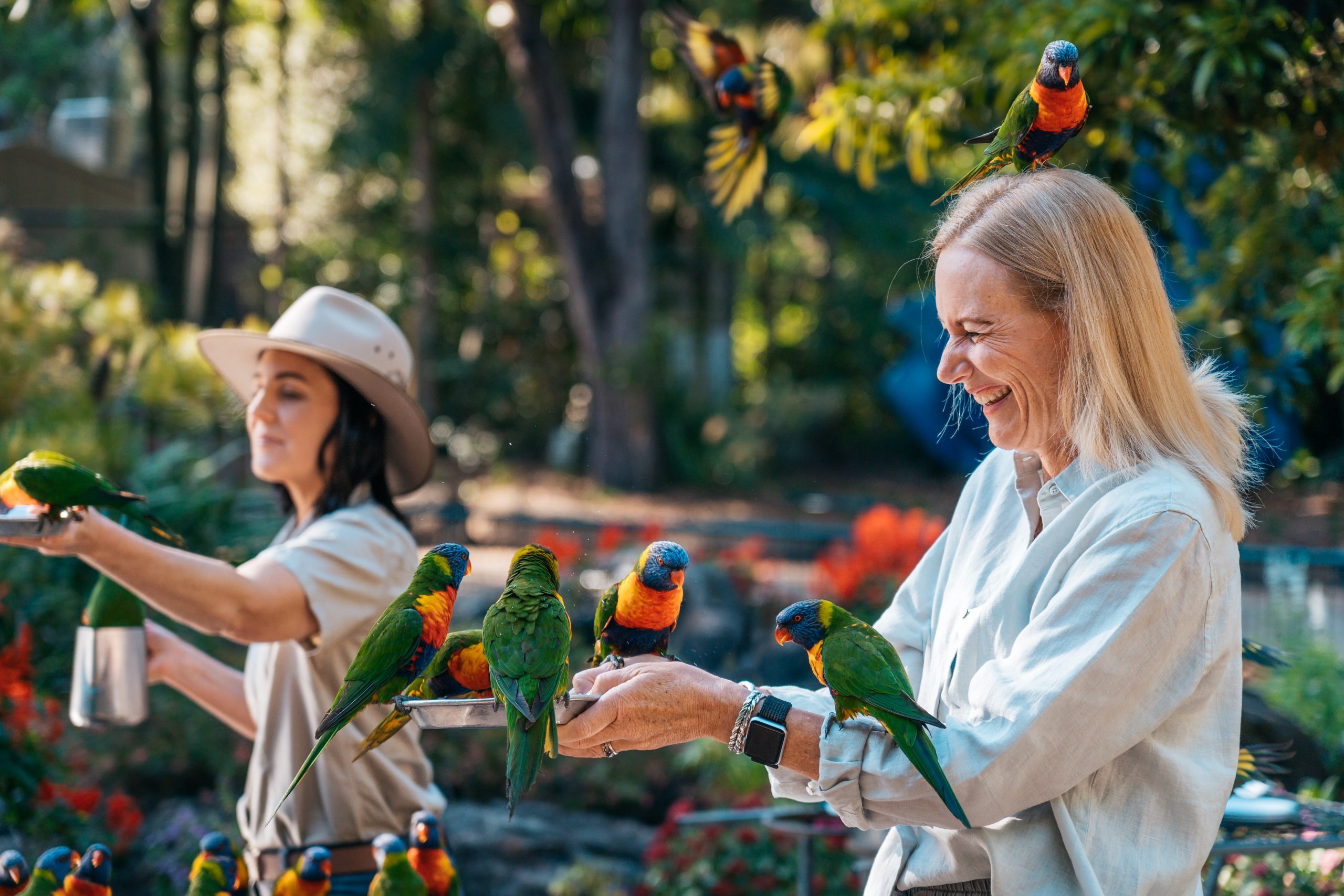 Currumbin Wildlife Sanctuary